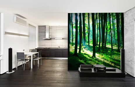 PVC Fototapete Sunshine In The Green Forest – ECO Wandbild Selbstklebende Tapete – 3D Vinyl Wandsticker XXL  SW127 - life-decor.de