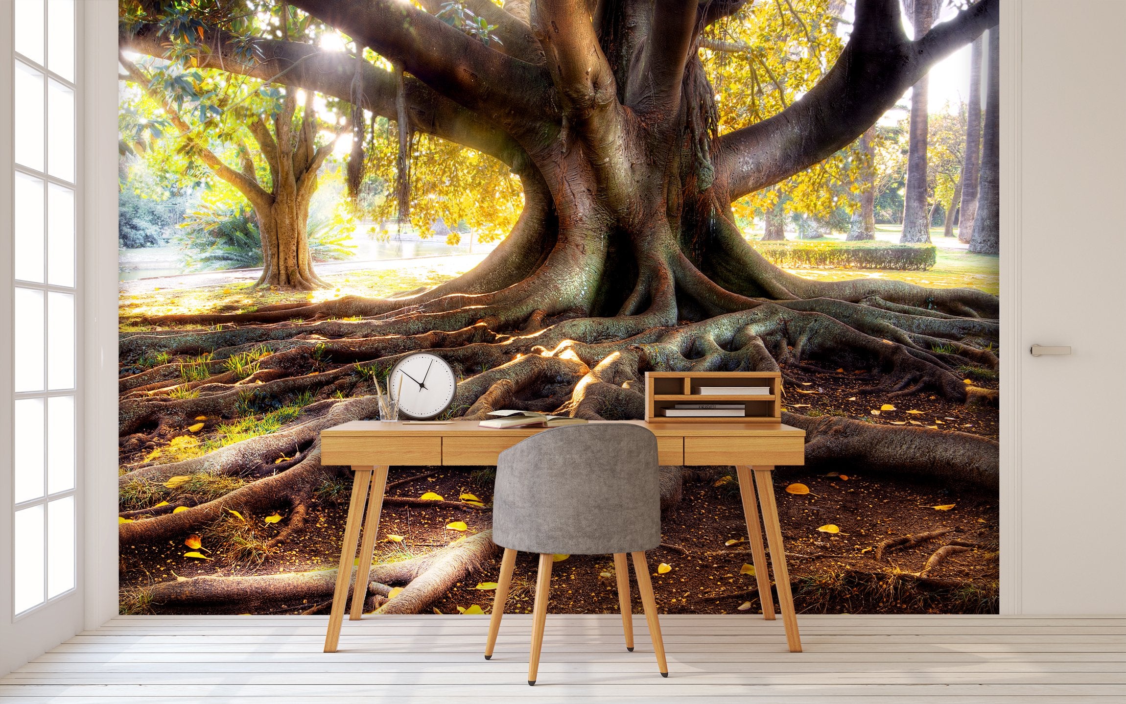 PVC Fototapete Centenarian Tree - ECO Wandbild Selbstklebende Tapete - 3D Vinyl Wandsticker XXL  SW126