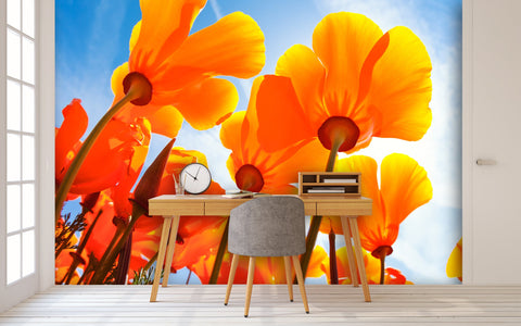 PVC Fototapete Spring Flowers – ECO Wandbild Selbstklebende Tapete – 3D Vinyl Wandsticker XXL  SW095 - life-decor.de