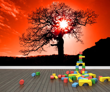 PVC Fototapete Old Oak In Sunset – ECO Wandbild Selbstklebende Tapete – 3D Vinyl Wandsticker XXL  SW134 - life-decor.de