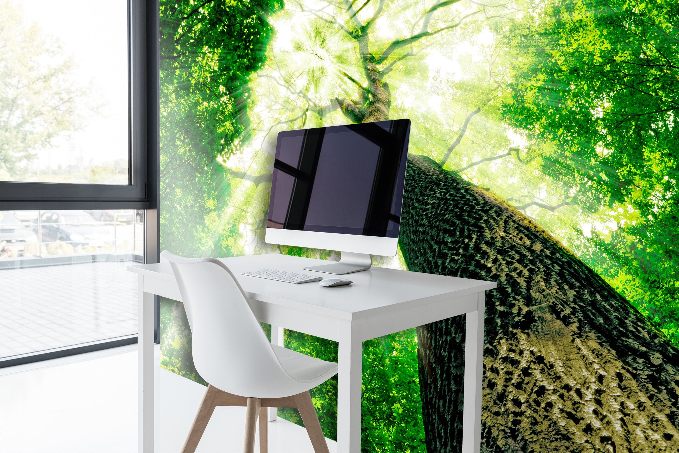 PVC Fototapete Forest - ECO Wandbild Selbstklebende Tapete - 3D Vinyl Wandsticker XXL  SW119