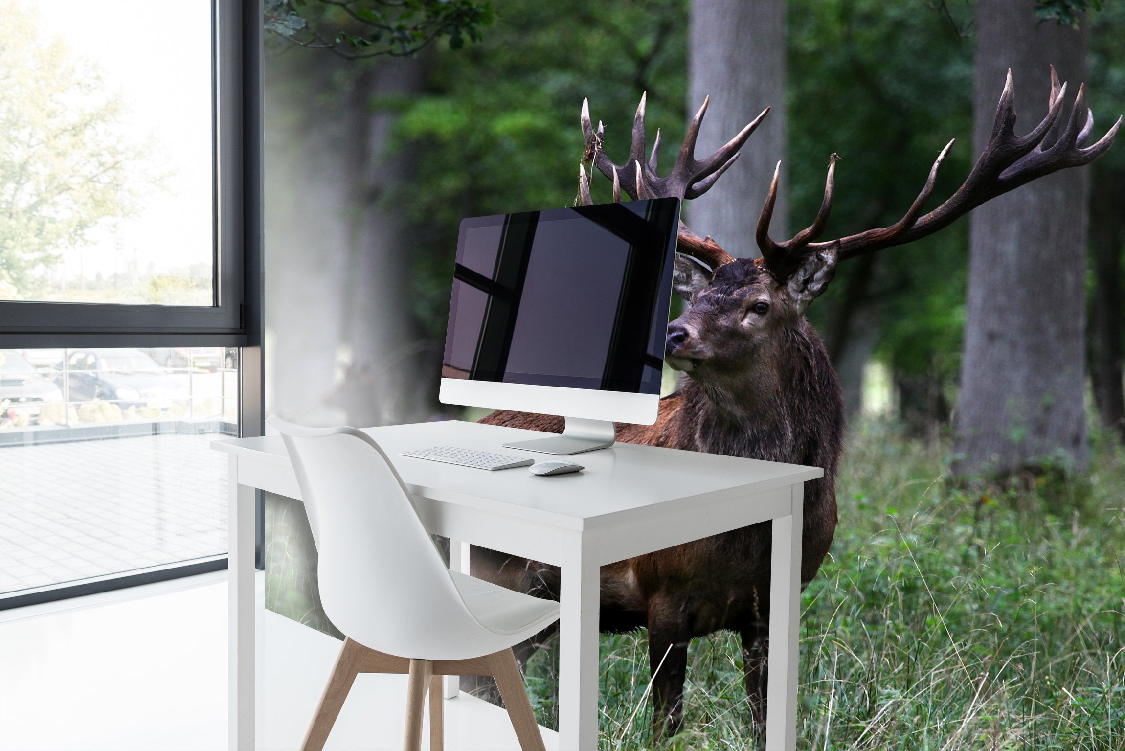 PVC Fototapete Red Deer - ECO Wandbild Selbstklebende Tapete - 3D Vinyl Wandsticker XXL  SW291