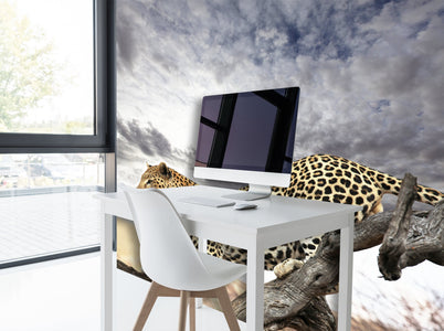 PVC Fototapete Leopard – ECO Wandbild Selbstklebende Tapete – 3D Vinyl Wandsticker XXL  SW077 - life-decor.de