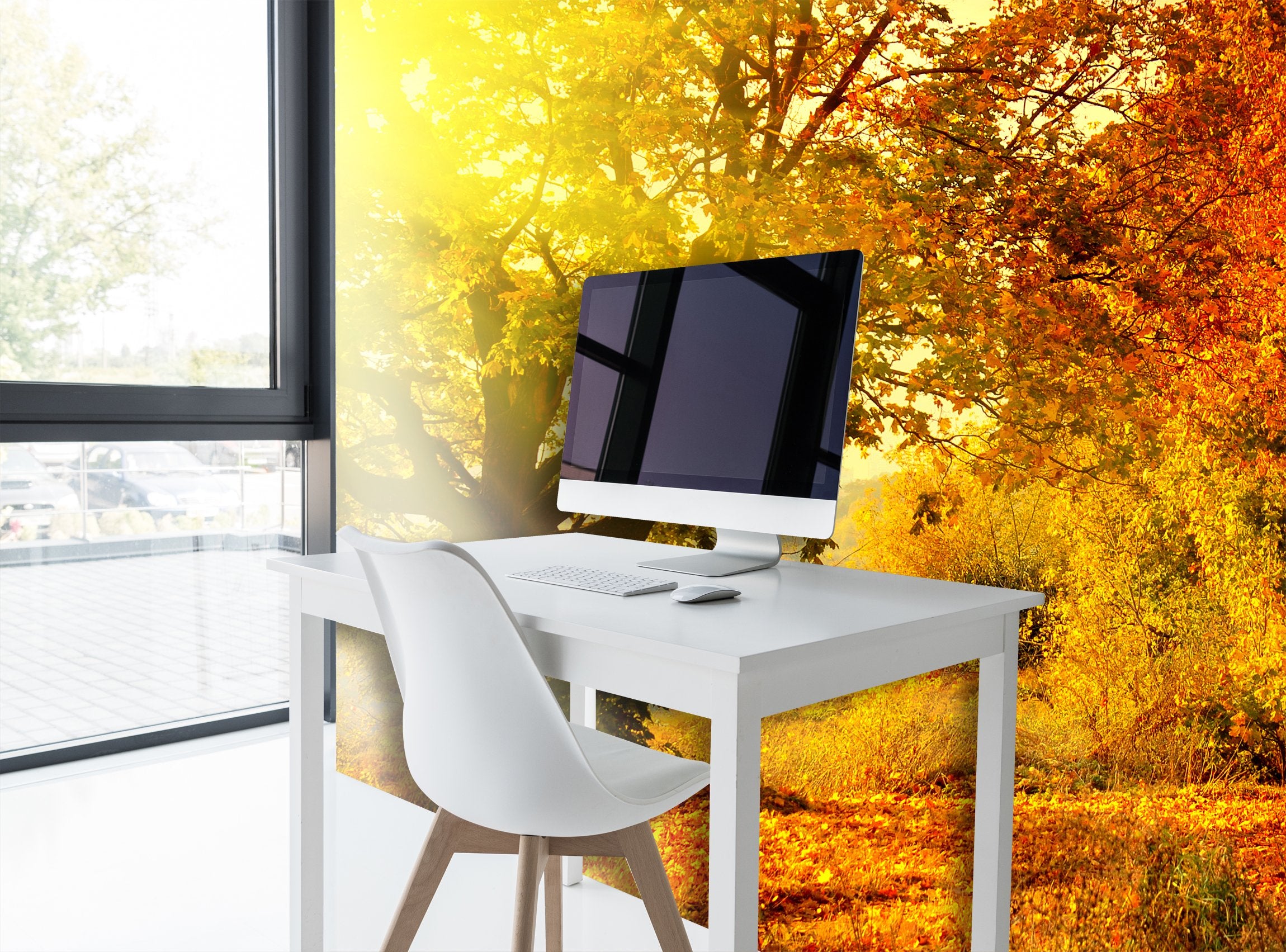 PVC Fototapete Autumn Forest - ECO Wandbild Selbstklebende Tapete - 3D Vinyl Wandsticker XXL  SW125