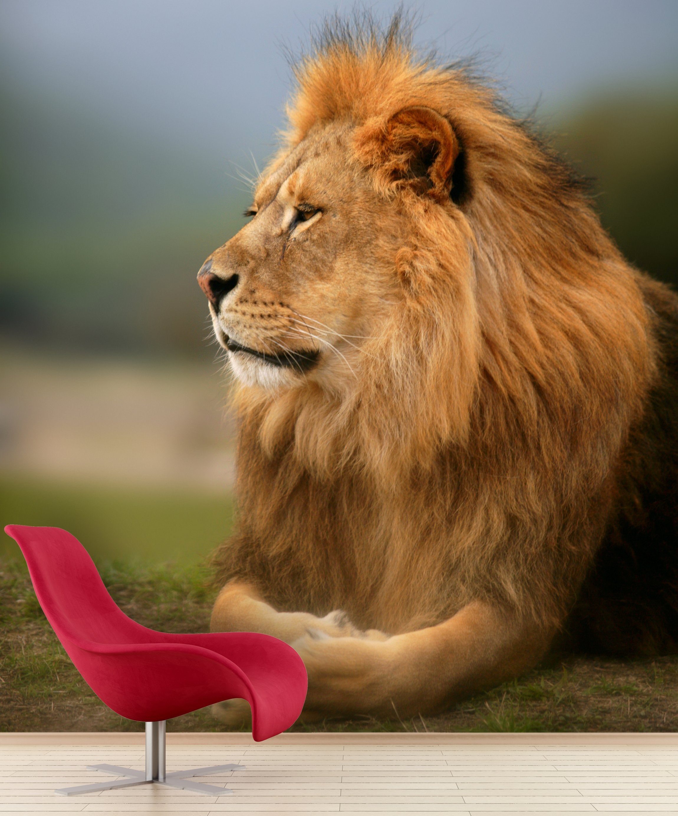 PVC Fototapete Beautiful Lion – ECO Wandbild Selbstklebende Tapete – 3D Vinyl Wandsticker XXL  SW057 - life-decor.de