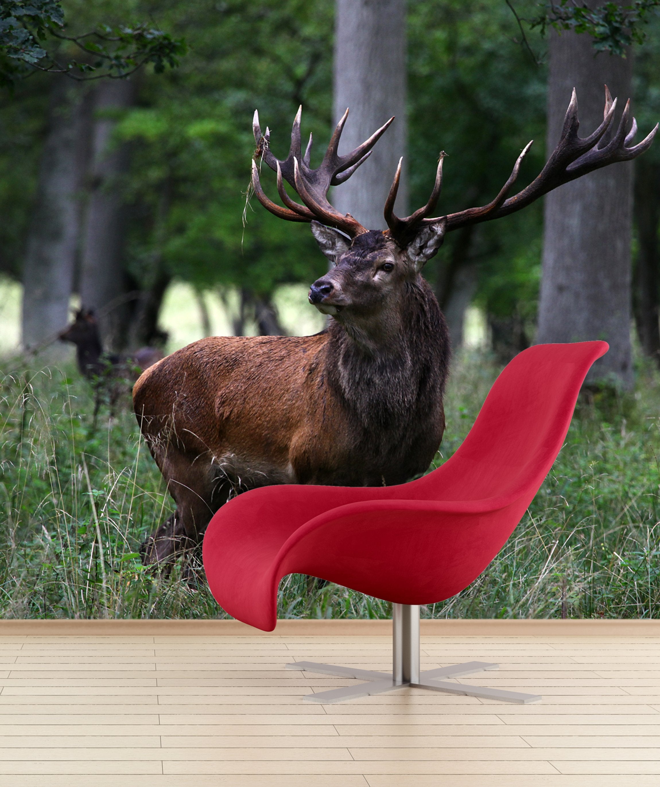 PVC Fototapete Red Deer – ECO Wandbild Selbstklebende Tapete – 3D Vinyl Wandsticker XXL  SW291 - life-decor.de