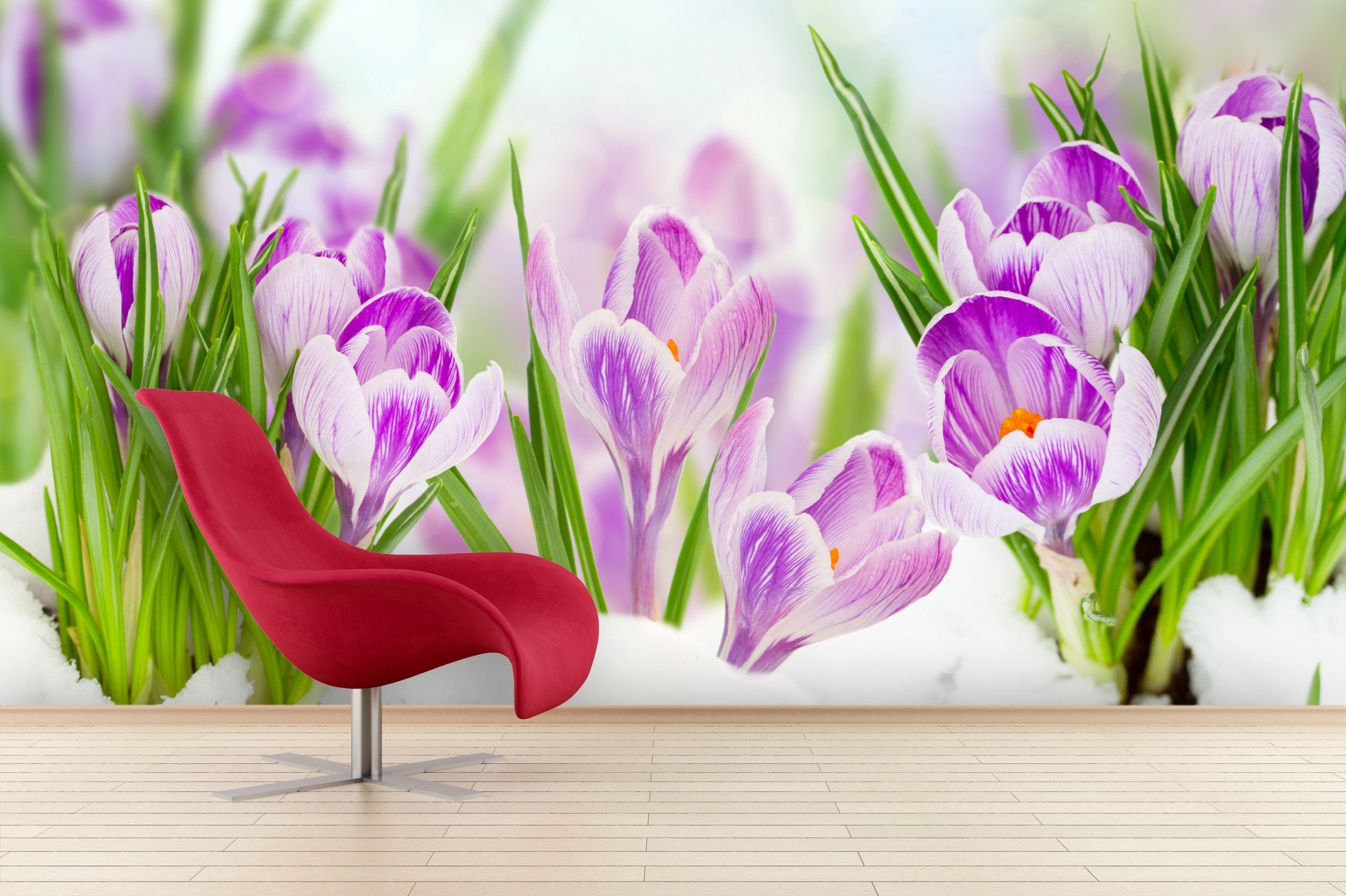 PVC Fototapete Spring Crocuses - ECO Wandbild Selbstklebende Tapete - 3D Vinyl Wandsticker XXL  SW075