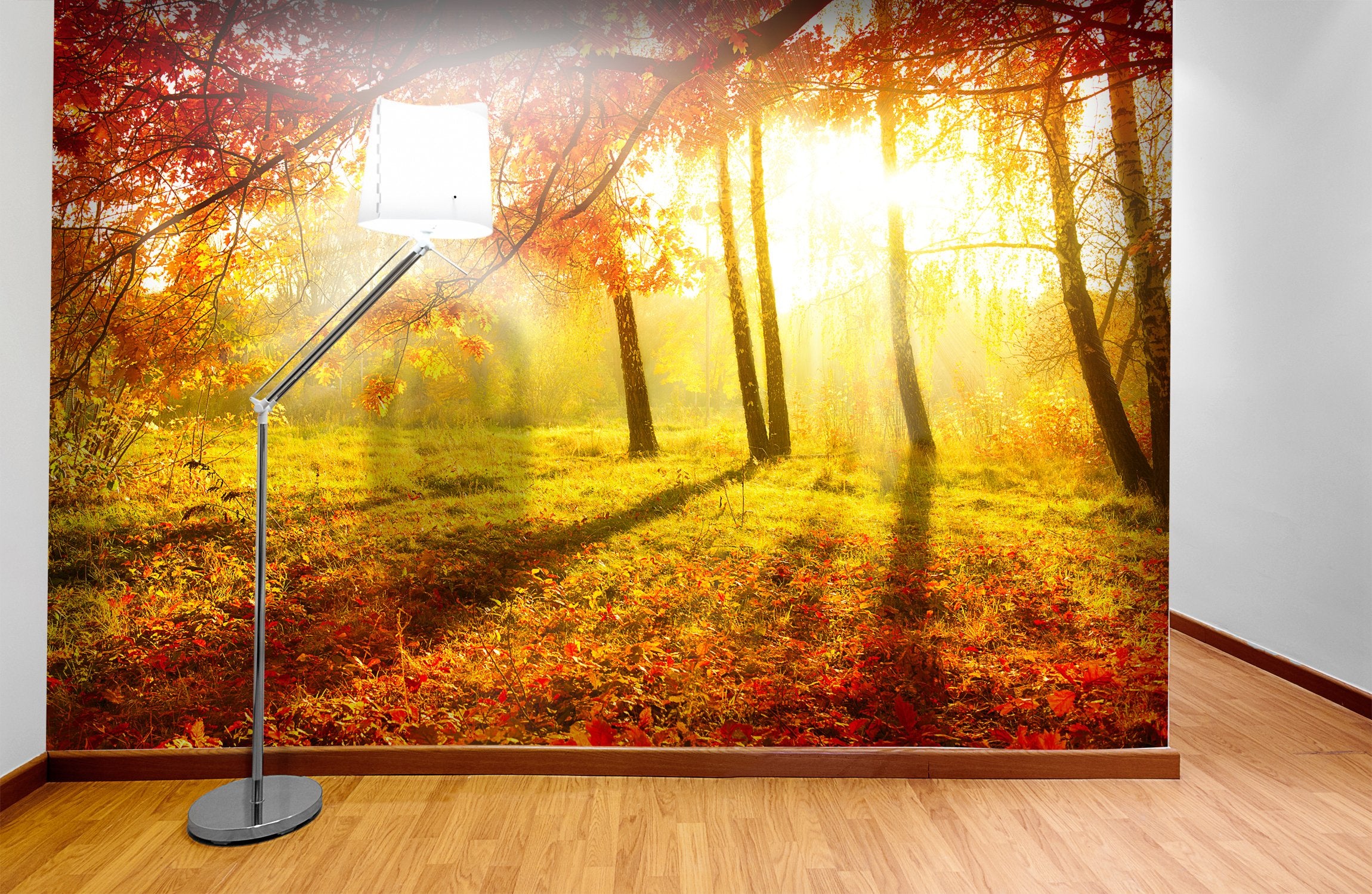 PVC Fototapete Autumnal Park – ECO Wandbild Selbstklebende Tapete – 3D Vinyl Wandsticker XXL  SW093 - life-decor.de
