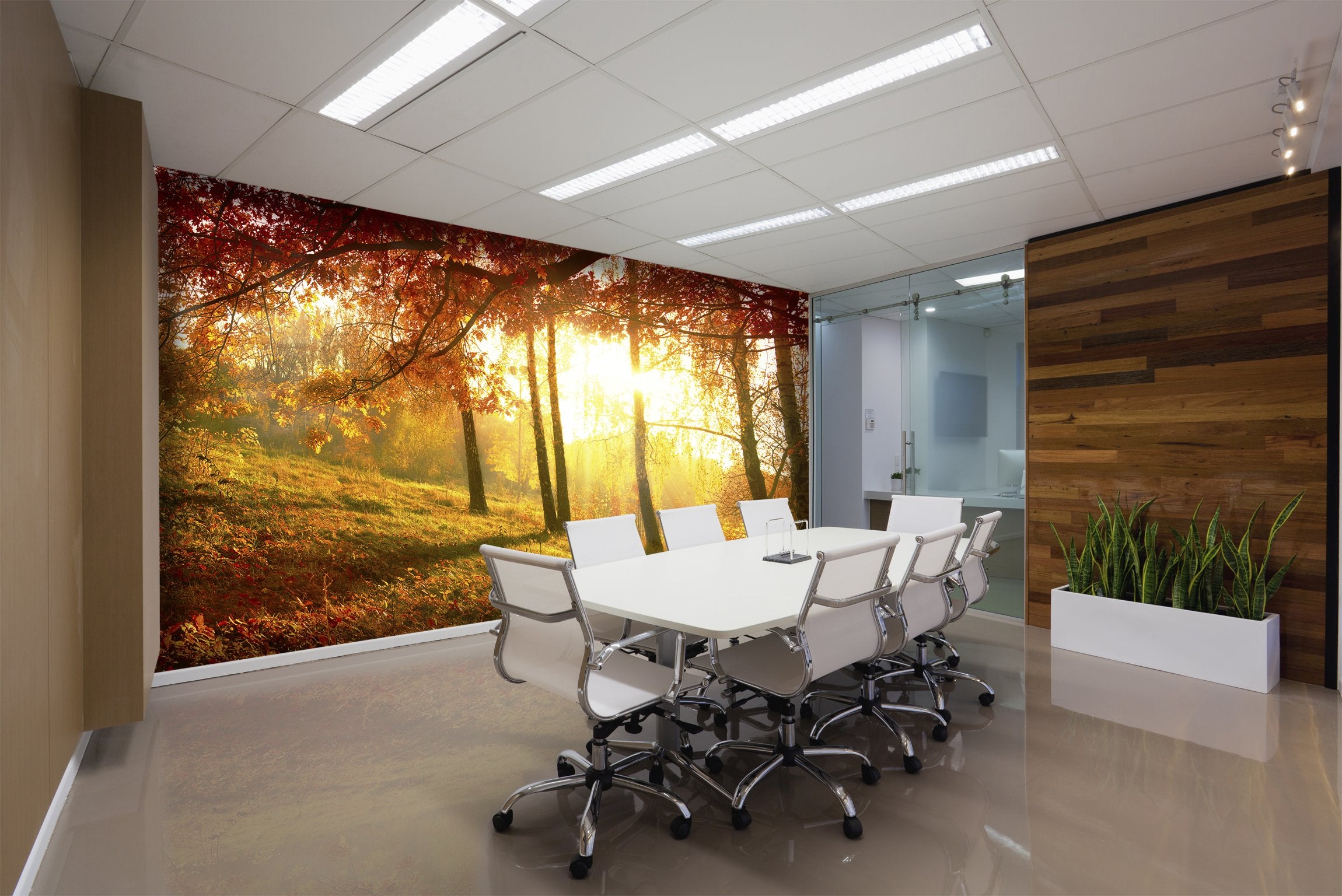 PVC Fototapete Autumnal Park – ECO Wandbild Selbstklebende Tapete – 3D Vinyl Wandsticker XXL  SW093 - life-decor.de