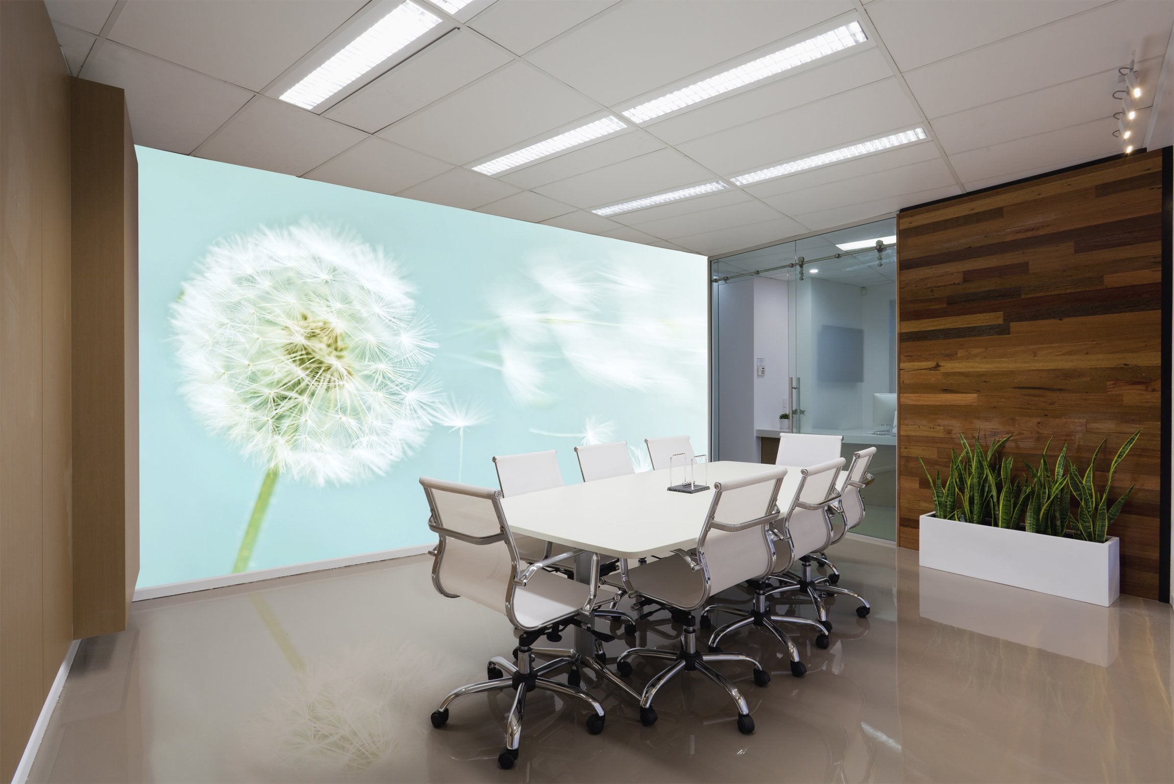 PVC Fototapete Dandelion - ECO Wandbild Selbstklebende Tapete - 3D Vinyl Wandsticker XXL  SW071