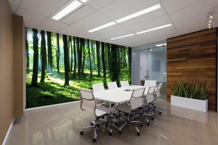 PVC Fototapete Sunshine In The Green Forest – ECO Wandbild Selbstklebende Tapete – 3D Vinyl Wandsticker XXL  SW127 - life-decor.de