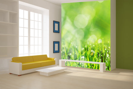 PVC Fototapete Spring Grass – ECO Wandbild Selbstklebende Tapete – 3D Vinyl Wandsticker XXL  SW215 - life-decor.de