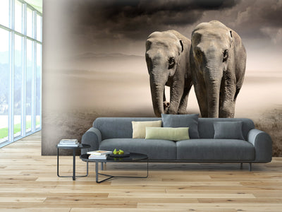 PVC Fototapete Elephants – ECO Wandbild Selbstklebende Tapete – 3D Vinyl Wandsticker XXL  SW022 - life-decor.de
