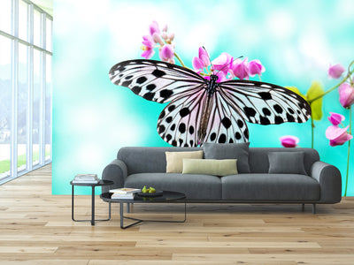 PVC Fototapete Rice Paper Butterfly – ECO Wandbild Selbstklebende Tapete – 3D Vinyl Wandsticker XXL  SW266 - life-decor.de