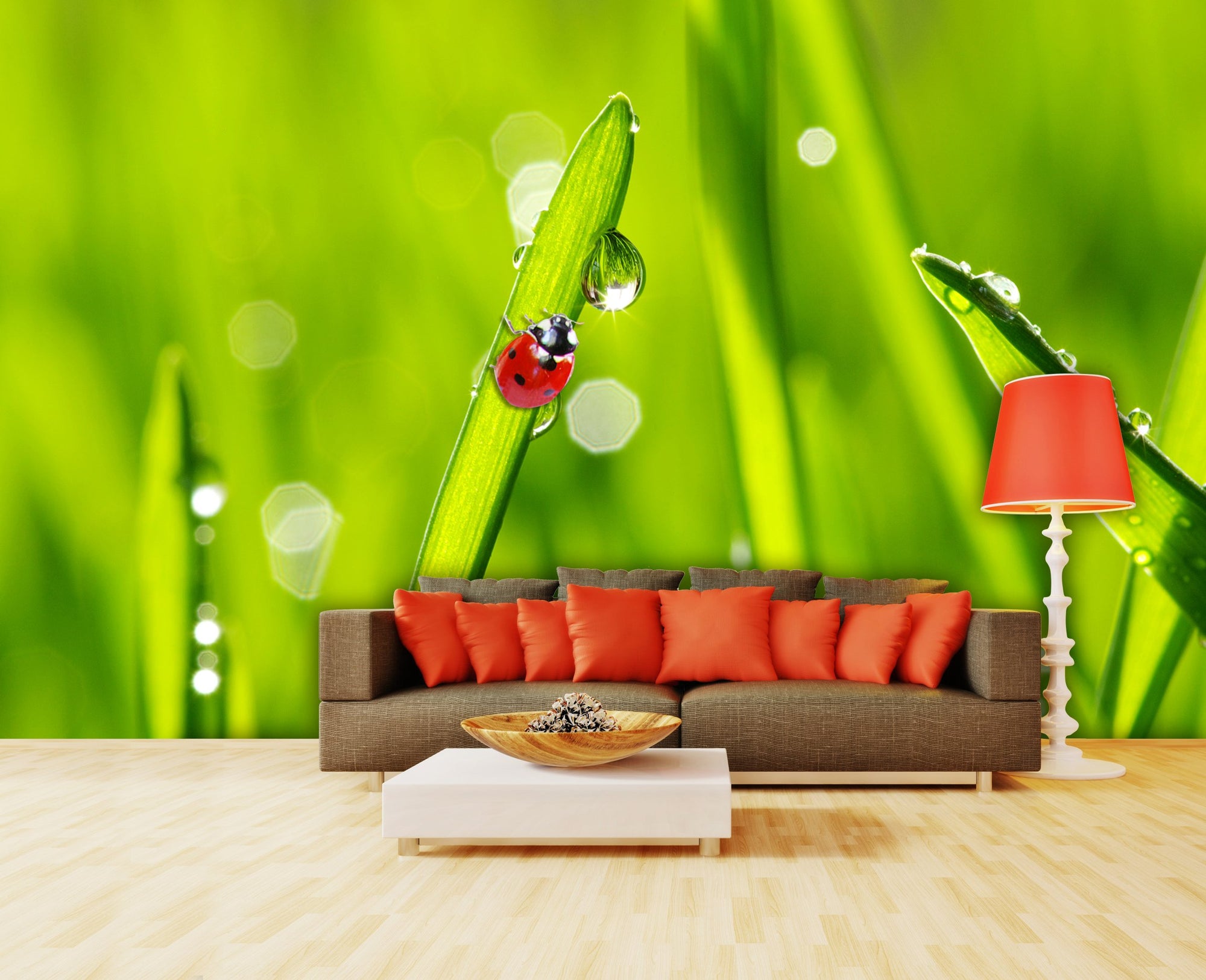PVC Fototapete Ladybug On Grass – ECO Wandbild Selbstklebende Tapete – 3D Vinyl Wandsticker XXL  SW069 - life-decor.de