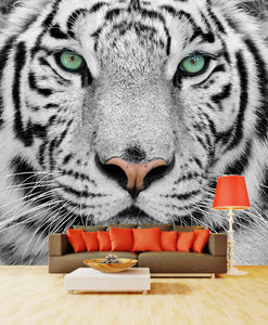 PVC Fototapete Tiger – ECO Wandbild Selbstklebende Tapete – 3D Vinyl Wandsticker XXL  SW056 - life-decor.de