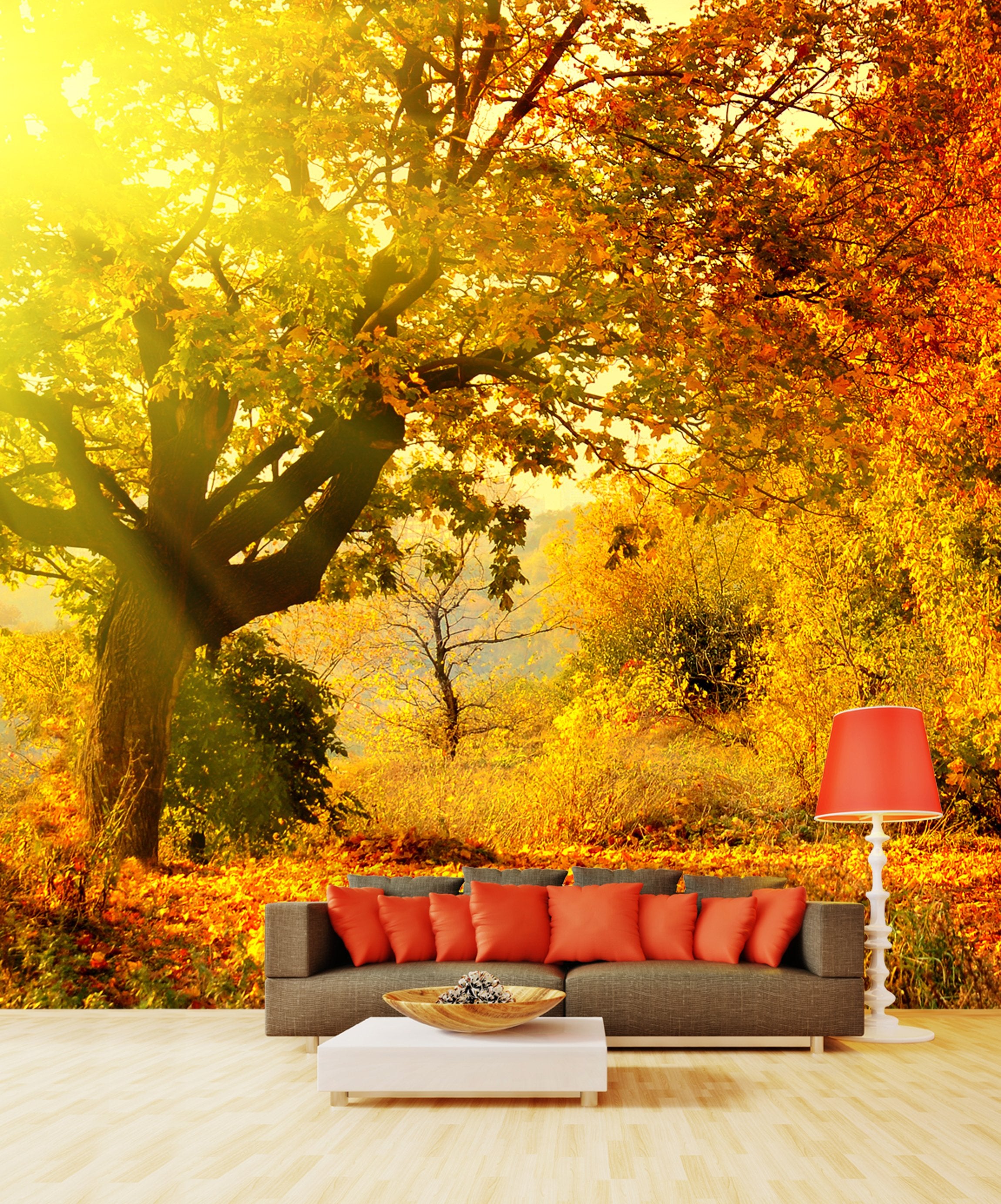 PVC Fototapete Autumn Forest – ECO Wandbild Selbstklebende Tapete – 3D Vinyl Wandsticker XXL  SW125 - life-decor.de