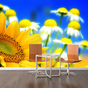 PVC Fototapete Flower backgrounds – ECO Wandbild Selbstklebende Tapete – 3D Vinyl Wandsticker XXL  SW074 - life-decor.de