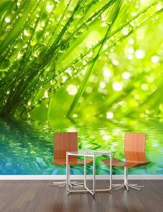 PVC Fototapete Fresh Morning – ECO Wandbild Selbstklebende Tapete – 3D Vinyl Wandsticker XXL  SW068 - life-decor.de