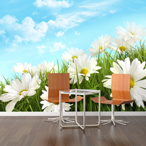 PVC Fototapete White Summer Daisies – ECO Wandbild Selbstklebende Tapete – 3D Vinyl Wandsticker XXL  SW096 - life-decor.de