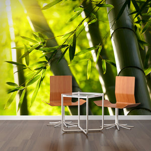 PVC Fototapete Bamboo Forest – ECO Wandbild Selbstklebende Tapete – 3D Vinyl Wandsticker XXL  SW085 - life-decor.de
