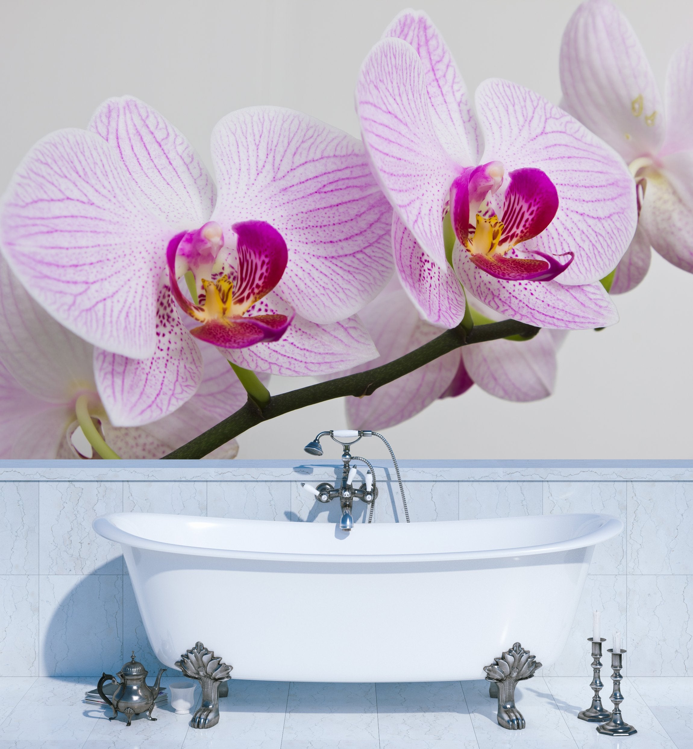 PVC Fototapete Flowers Orchids - ECO Wandbild Selbstklebende Tapete - 3D Vinyl Wandsticker XXL  SW092
