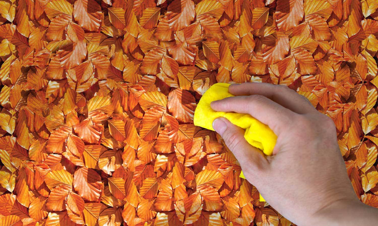 möbel selbstklebende folie- Herbstblätter  PAT049 - life-decor.de