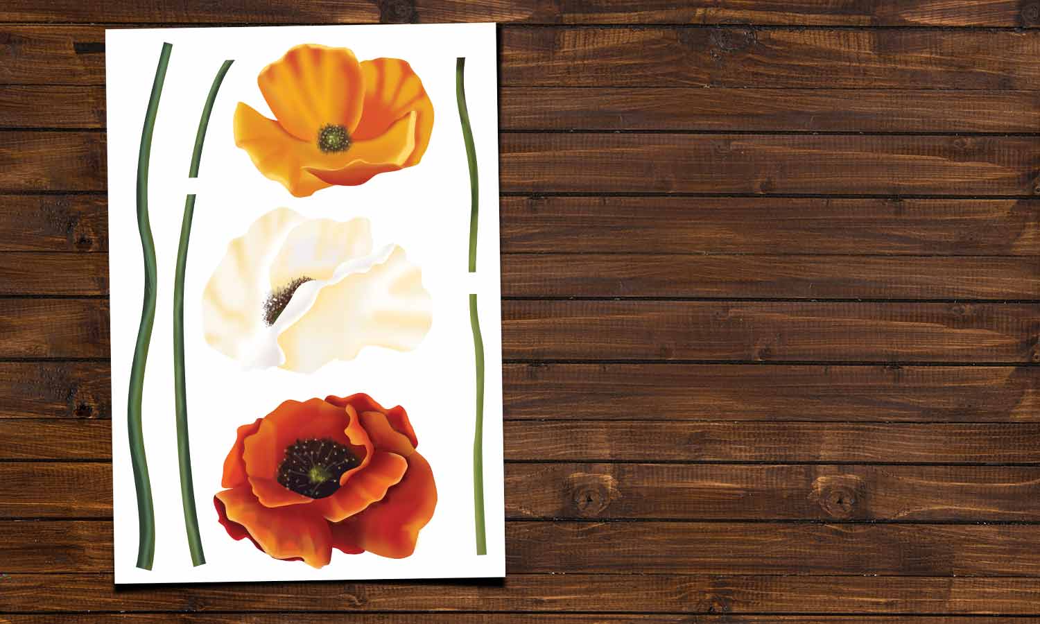 Wandaufkleber Mohn - VCS105 - life-decor.de