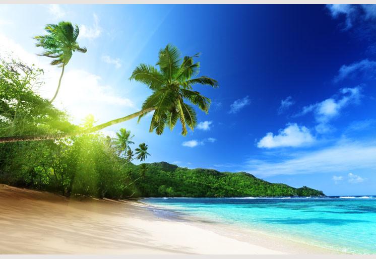 PVC Fototapete Beach In Sunset – ECO Wandbild Selbstklebende Tapete – 3D Vinyl Wandsticker XXL  SW094 - life-decor.de