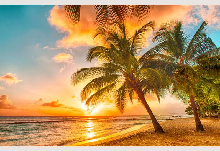 PVC Fototapete Barbados – ECO Wandbild Selbstklebende Tapete – 3D Vinyl Wandsticker XXL  SW120 - life-decor.de