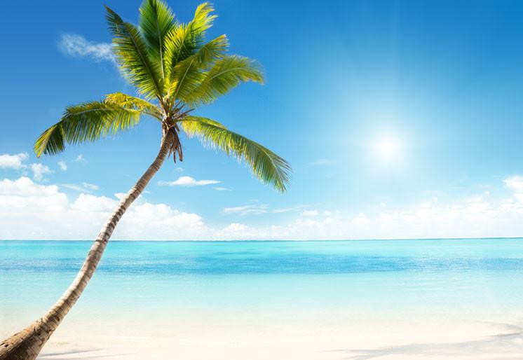 PVC Fototapete Caribbean Sea And Coconut – ECO Wandbild Selbstklebende Tapete – 3D Vinyl Wandsticker XXL  SW122 - life-decor.de