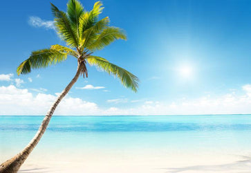 PVC Fototapete Caribbean Sea And Coconut – ECO Wandbild Selbstklebende Tapete – 3D Vinyl Wandsticker XXL  SW122 - life-decor.de