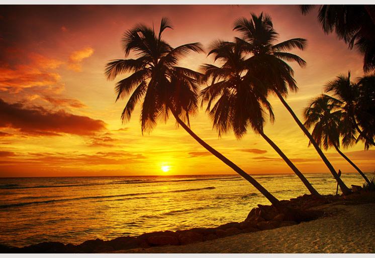 PVC Fototapete Barbados II – ECO Wandbild Selbstklebende Tapete – 3D Vinyl Wandsticker XXL  SW123 - life-decor.de