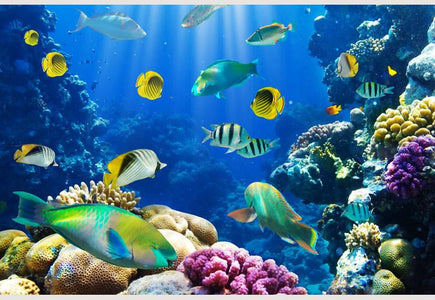 PVC Fototapete Coral Colony – ECO Wandbild Selbstklebende Tapete – 3D Vinyl Wandsticker XXL  SW113 - life-decor.de