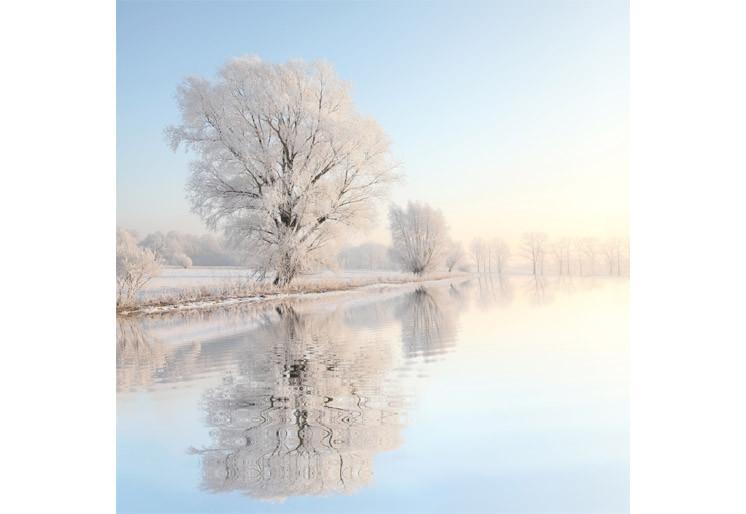 PVC Fototapete Winter Landscape - ECO Wandbild Selbstklebende Tapete - 3D Vinyl Wandsticker XXL  SW180