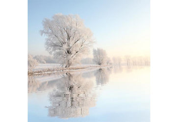 PVC Fototapete Winter Landscape – ECO Wandbild Selbstklebende Tapete – 3D Vinyl Wandsticker XXL  SW180 - life-decor.de