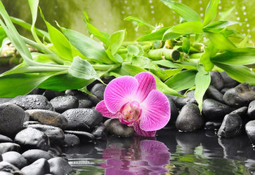 PVC Fototapete Spa Concept – ECO Wandbild Selbstklebende Tapete – 3D Vinyl Wandsticker XXL  SW082 - life-decor.de