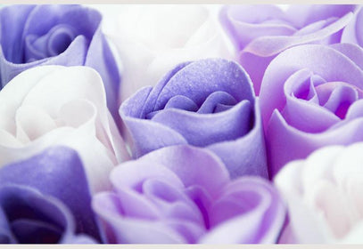 PVC Fototapete Purple Roses – ECO Wandbild Selbstklebende Tapete – 3D Vinyl Wandsticker XXL  SW061 - life-decor.de