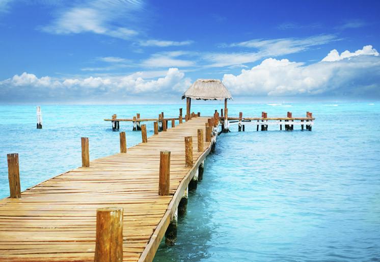 PVC Fototapete Tropic Paradise - ECO Wandbild Selbstklebende Tapete - 3D Vinyl Wandsticker XXL  SW018
