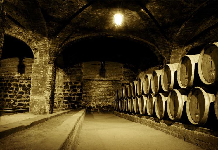 PVC Fototapete Wine Cellar - ECO Wandbild Selbstklebende Tapete - 3D Vinyl Wandsticker XXL  SW024