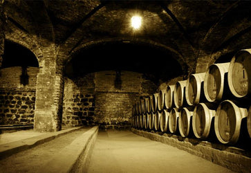 PVC Fototapete Wine Cellar – ECO Wandbild Selbstklebende Tapete – 3D Vinyl Wandsticker XXL  SW024 - life-decor.de