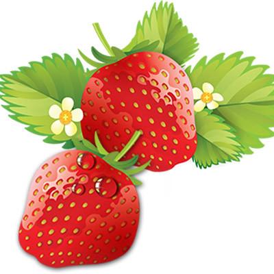 Aufkleber für Fliesen - KP031 - life-decor.de