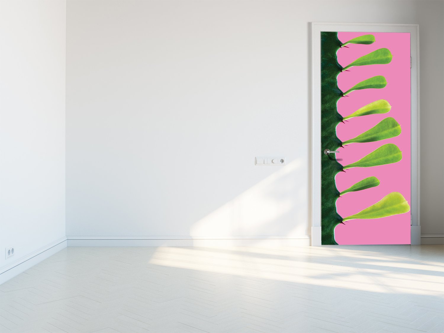 Tapete für Türen Beautiful cactus - TA080 - life-decor.de