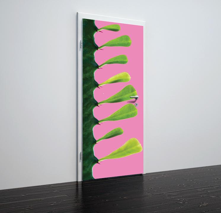 Tapete für Türen Beautiful cactus - TA080 - life-decor.de