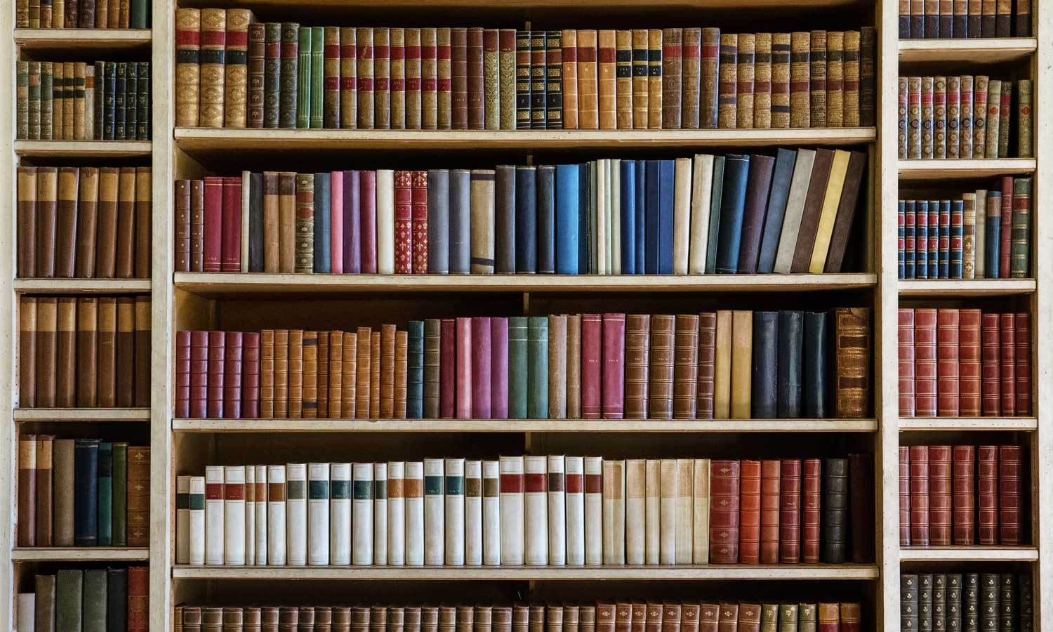 Life Decor Möbelfolie vor einer klassischen Bücherregal-Kulisse.