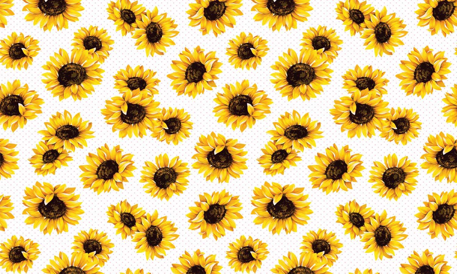 Selbstklebende folie für schränke- Wasserdichte Klebefolie für Möbel, Schrank, Tisch, Tür - UV-beständig & robust- Sonnenblume PAT032