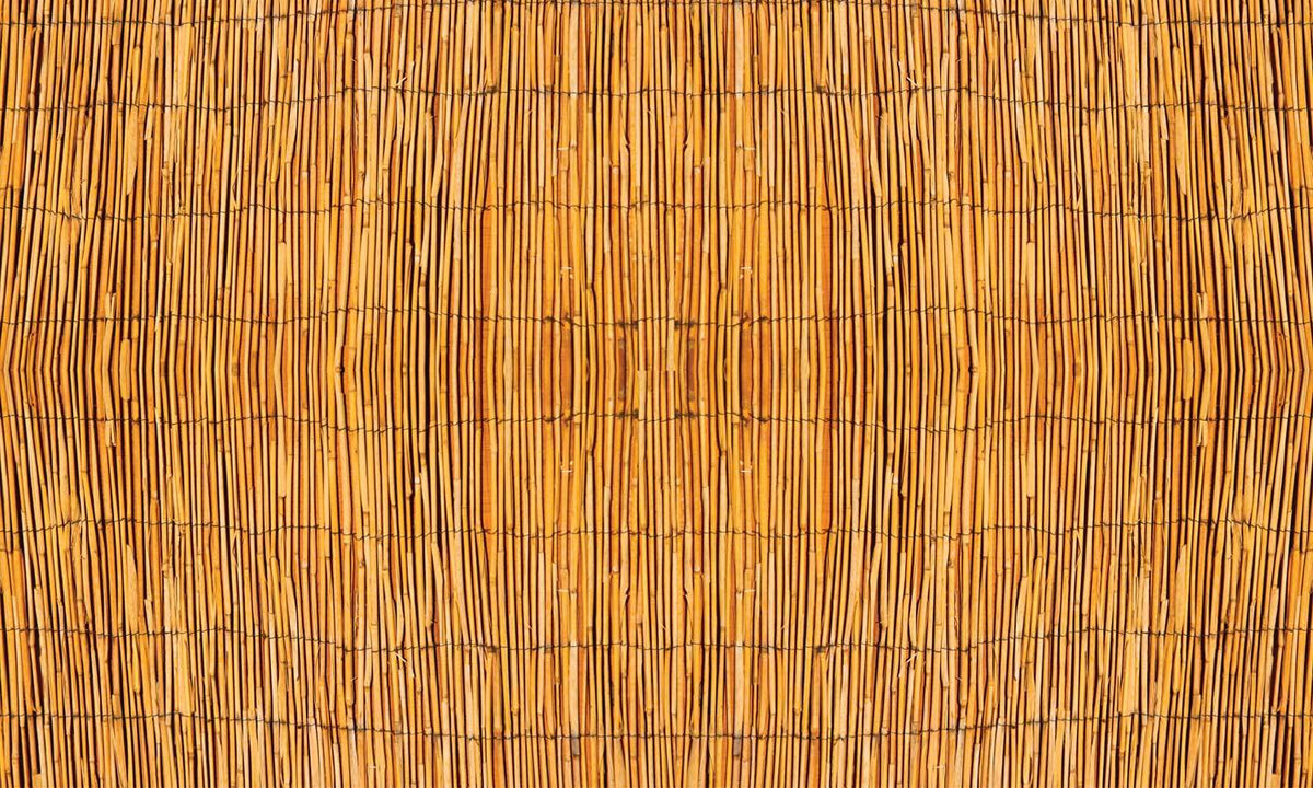 selbstklebende Folie für Möbel- Schilf PAT086 - life-decor.de