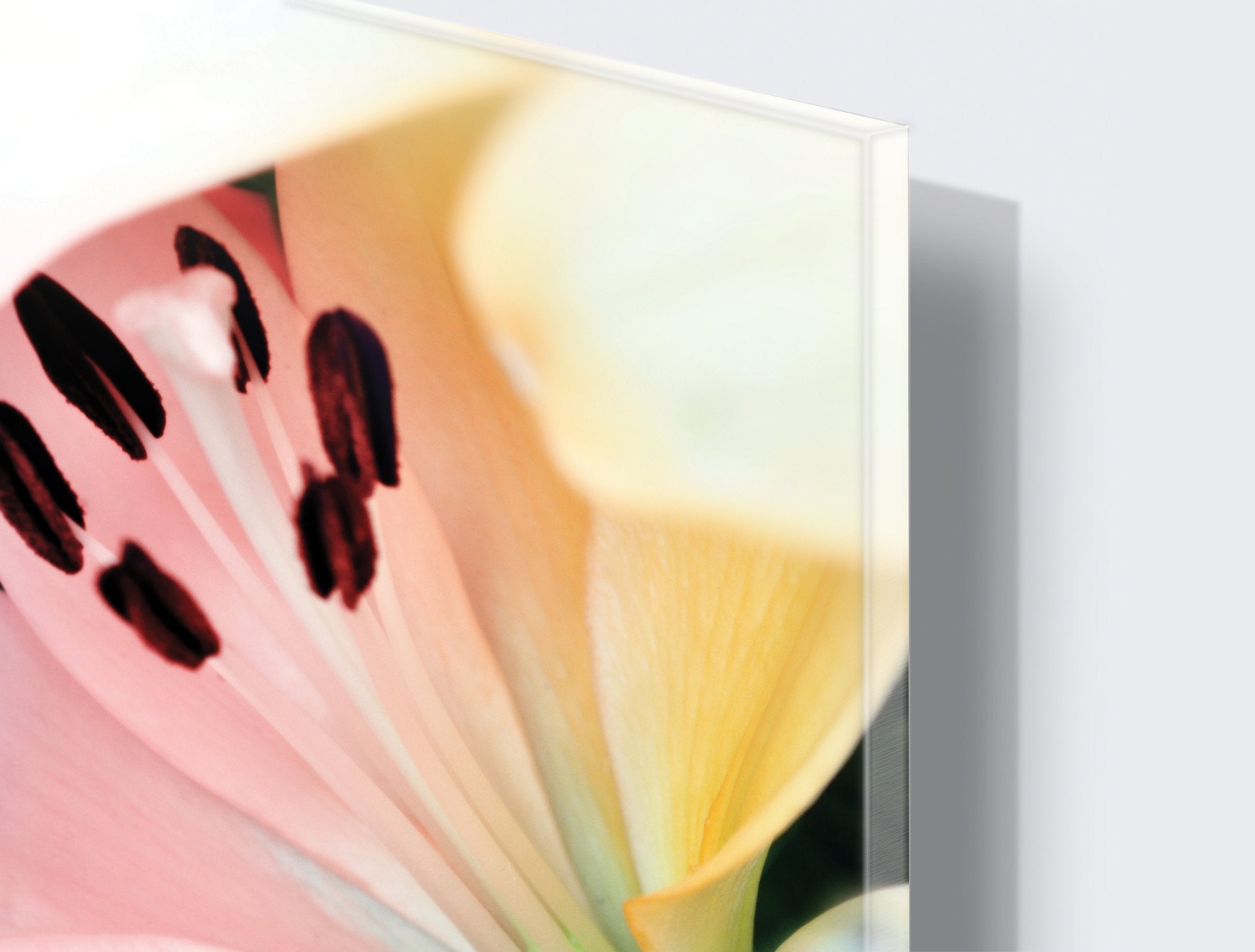 Kunst wand bilder Blume - AP040