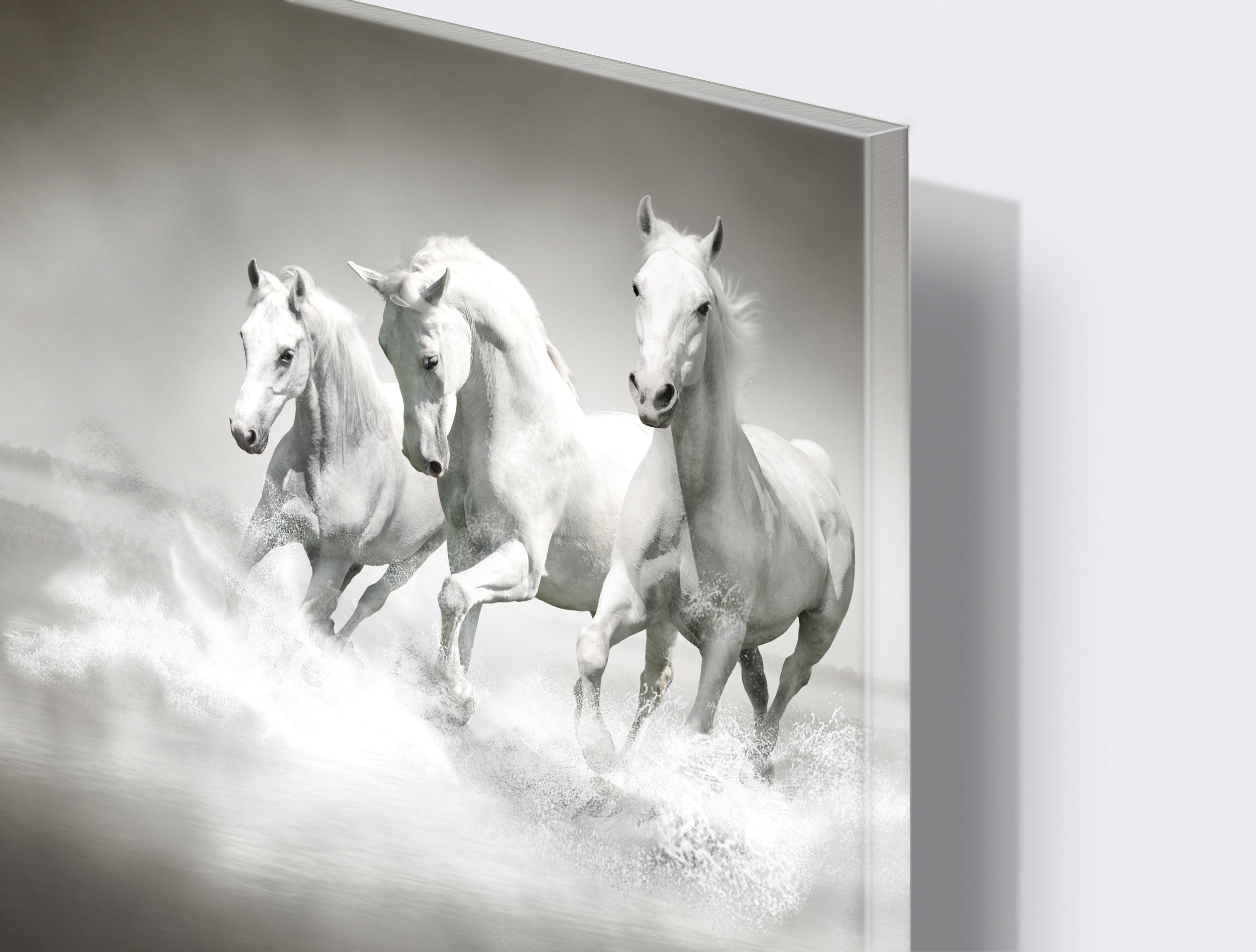 Kunst wand bilder Pferde - AP080 - life-decor.de