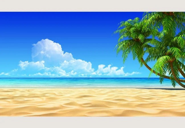 PVC Fototapete Tropical Sand – ECO Wandbild Selbstklebende Tapete – 3D Vinyl Wandsticker XXL SW0661 - 800 cm lang und 260 cm hoch